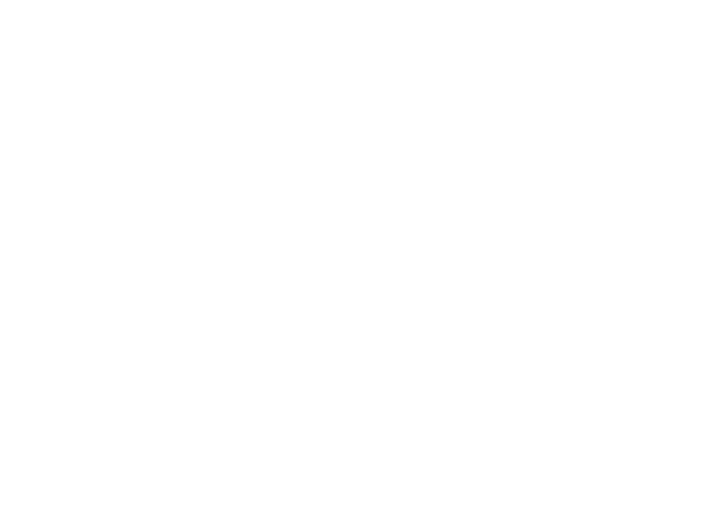 Concept Bespoke logo